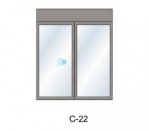 C-22