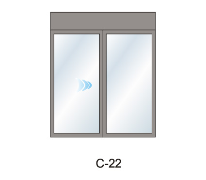 C-22